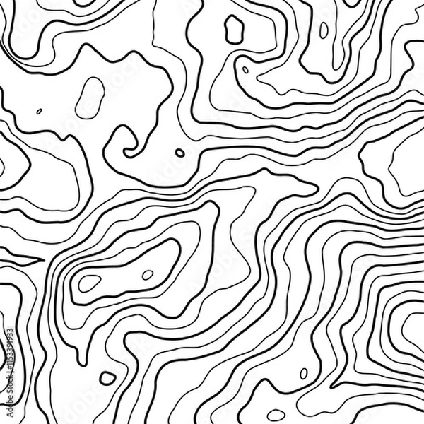 Fototapeta Topographic map background geographic line map with elevation assignments. Modern design with White background with topographic wavy pattern design. paper texture Imitation of a geographical map