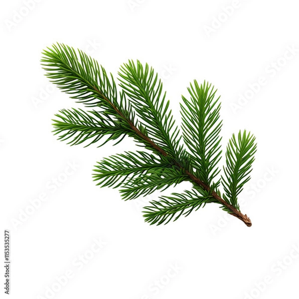 Obraz a green branch with long needles