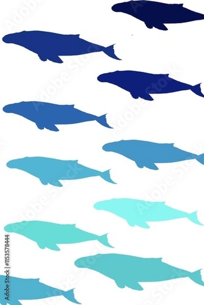 Fototapeta pattern with fish