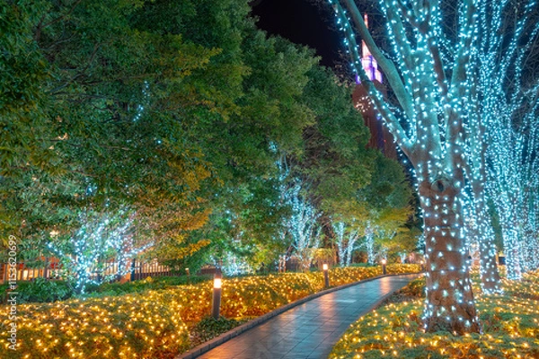 Obraz 東京都新宿区のイルミネーションの景色