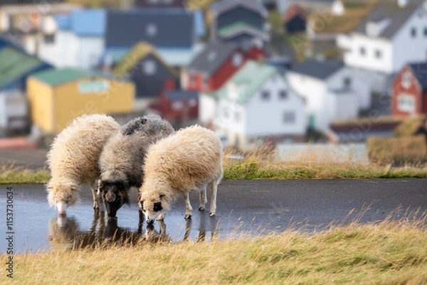 Obraz Triplets, Faroe Islands