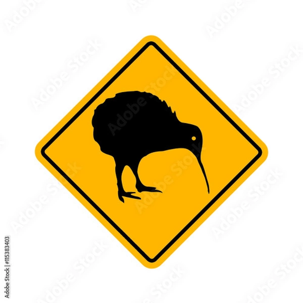 Obraz kiwi - apteryx