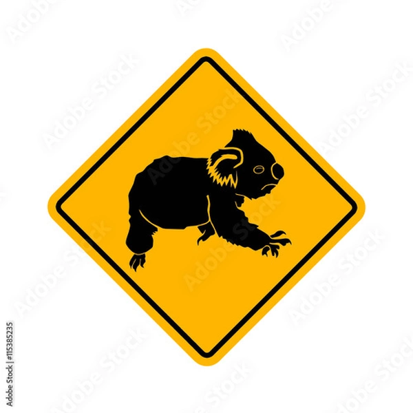 Obraz koala - popielaty niedźwiedź torbacz