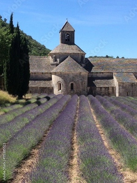 Fototapeta Lavender field at abbey in France