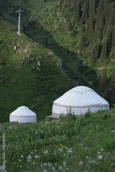 Obraz tent in the forest