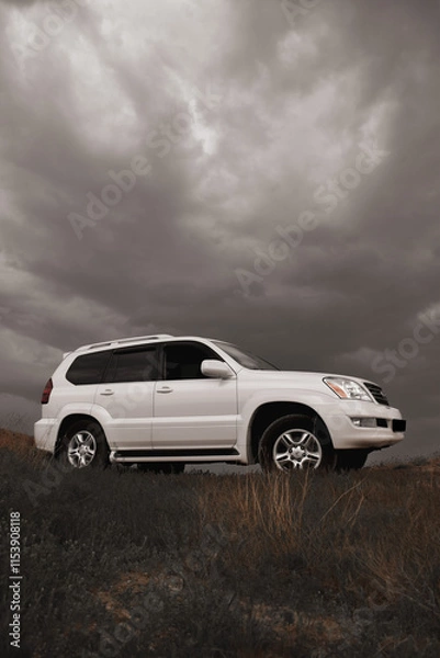 Obraz car in the desert