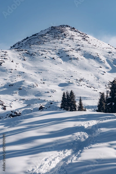 Obraz winter mountain landscape