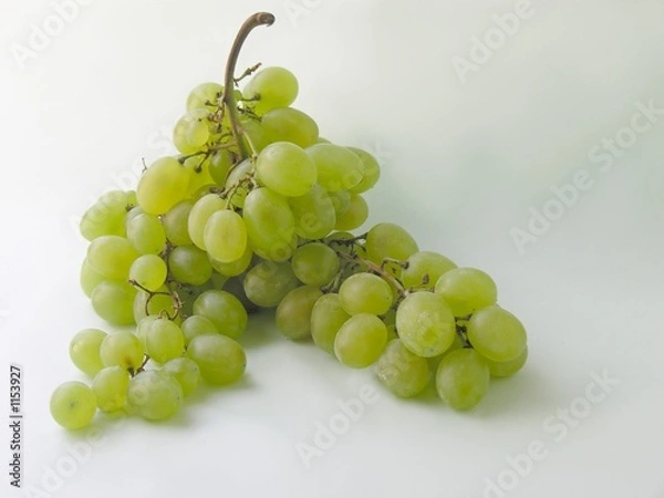 Fototapeta grapes