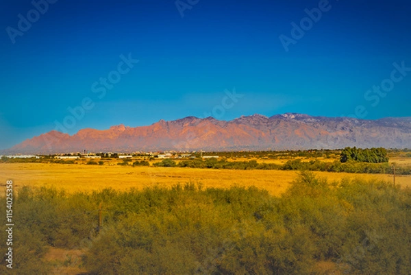 Fototapeta The Catalina Mountains rise majestically behind a foreground of Saguaro cacti and desert flora, creating an iconic Tucson landscape. The vibrant colors of the desert landscape highlight the natural be