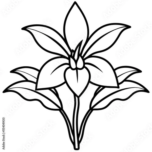 Fototapeta Orchid Oasis line art art vector