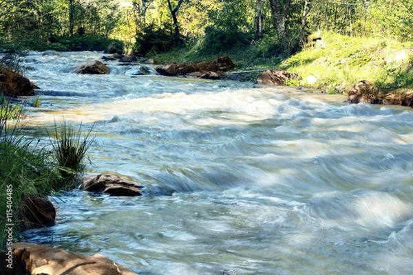 Fototapeta Wide stream in mountain forest