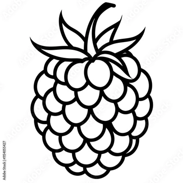 Obraz Blackberry line art art vector