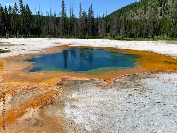 Obraz Yellowstone