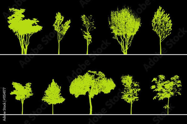 Fototapeta arbres pour coupes et élévations