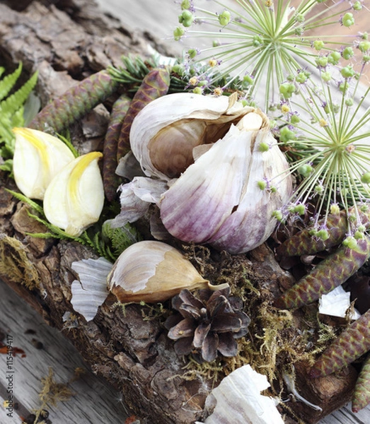 Obraz Dried garlic cloves