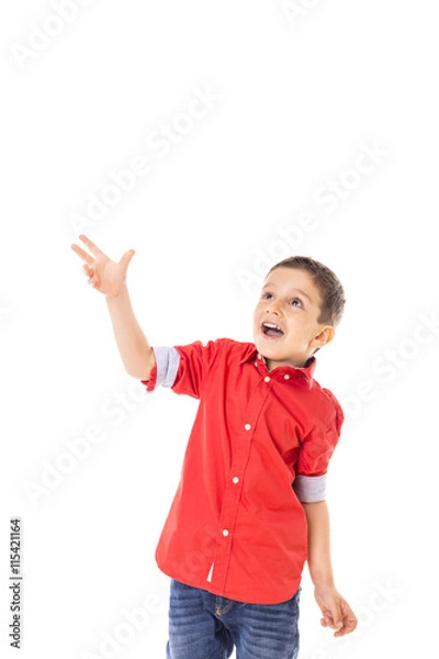 Obraz Portrait of a excited  little boy playing