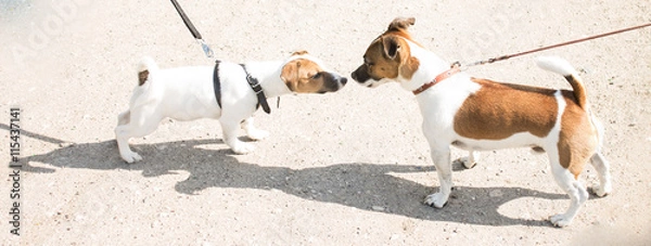 Fototapeta Знакомства теней.