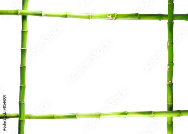 Obraz bamboo frame isolated