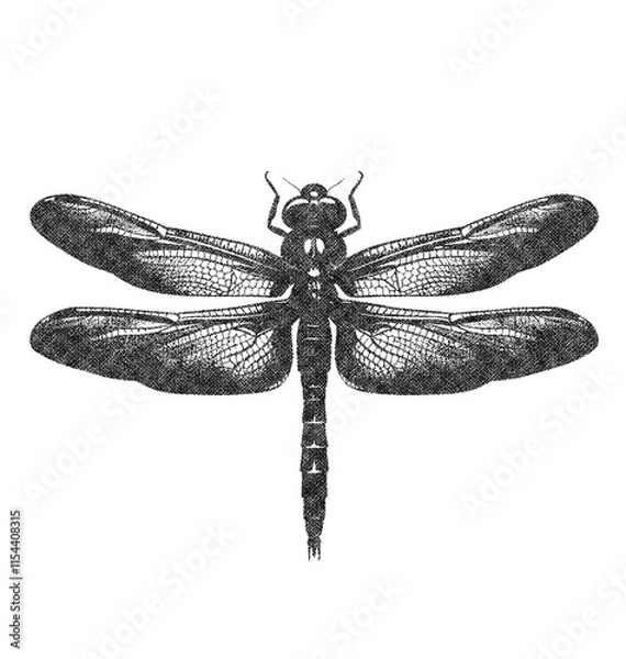 Obraz  Dragonfly in Old OverPrint Style