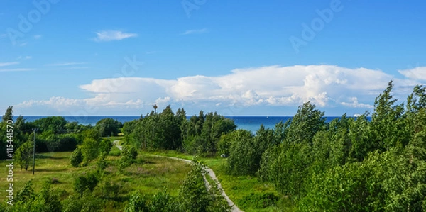 Obraz Estonia summer landscape,district paljassaare