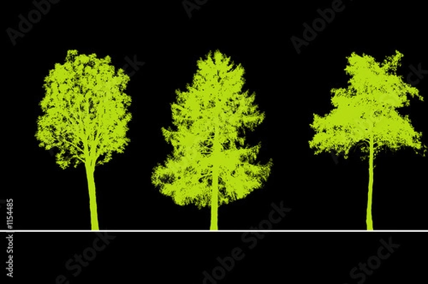 Obraz arbres pour coupes et élévations
