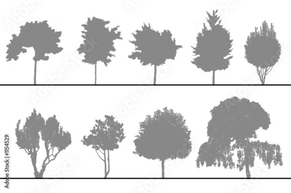 Fototapeta drzewa do cięć i elewacji