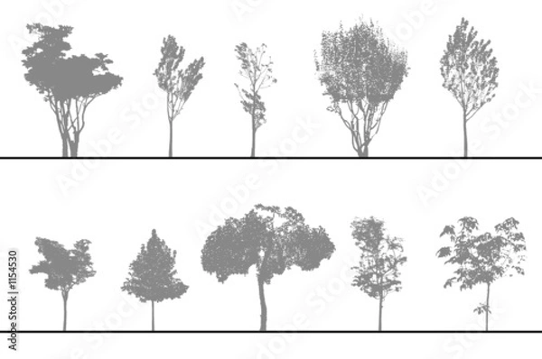 Obraz drzewa do cięć i elewacji