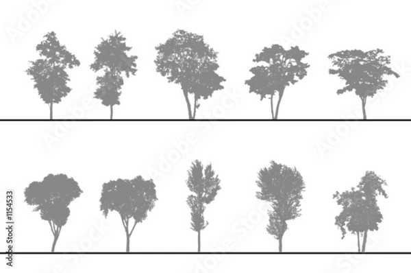 Obraz Drzewa do cięć i wysokości