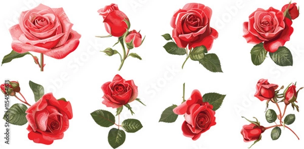 Obraz vector set of red roses in color style