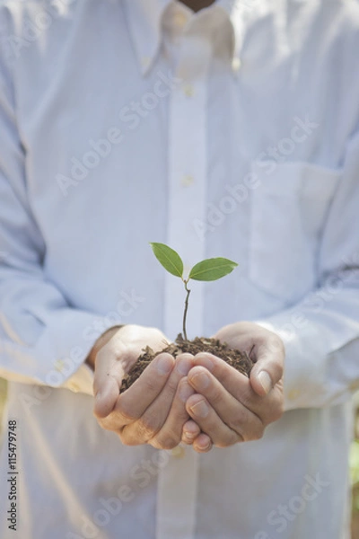 Obraz 新芽を持つ手