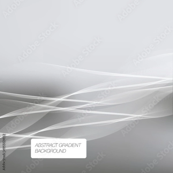 Fototapeta Vector Premium Elegant Grey Texture Background Template