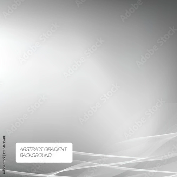 Fototapeta Vector Premium Elegant Grey Texture Background Template