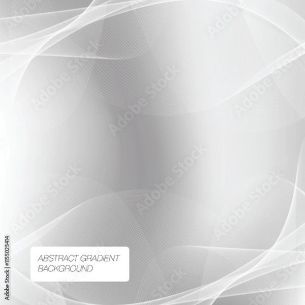 Fototapeta Vector Premium Elegant Grey Texture Background Template
