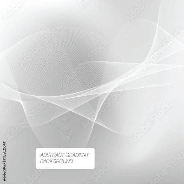 Fototapeta Vector Premium Elegant Grey Texture Background Template