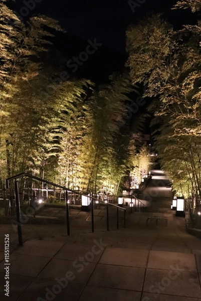 Obraz 夜間ライトアップされた長門湯本の竹林と階段