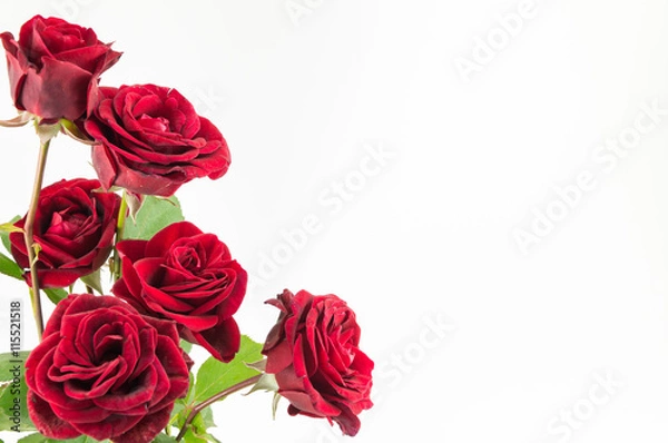 Obraz Bukiet Red Roses na białym tle