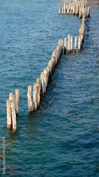 Fototapeta poteaux plantés dans le sable pour lutter contre l’érosion