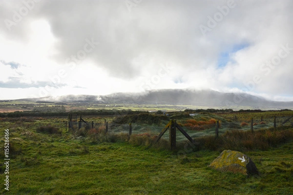 Obraz landscape in the mountains