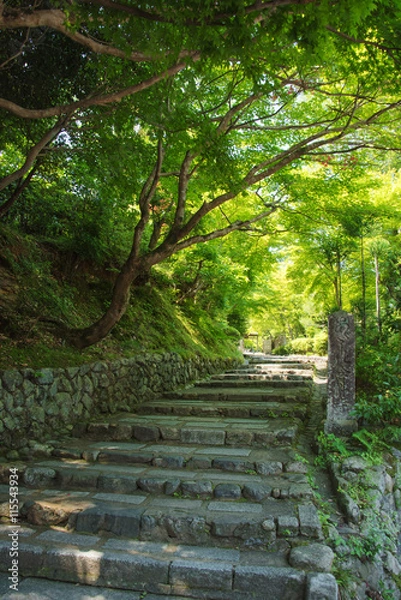 Obraz 化野念仏寺