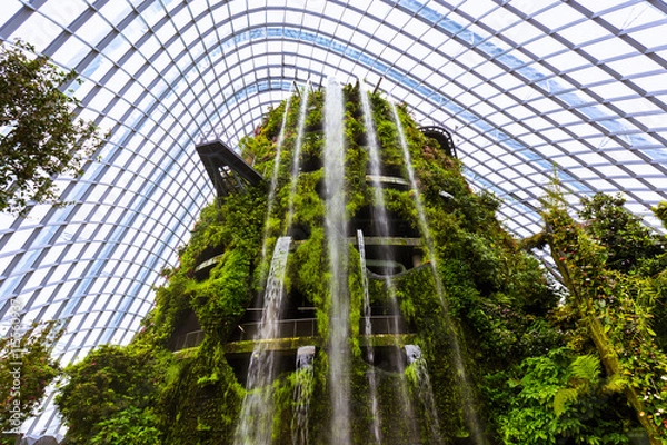 Fototapeta Cloud Forest Dome w Gardens by the Bay w Singapurze