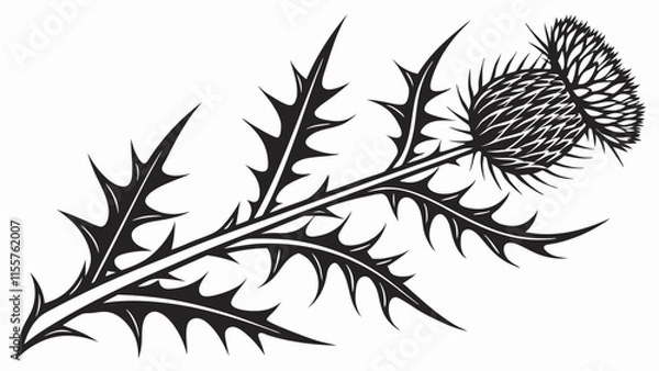 Fototapeta thistle vector silhouette