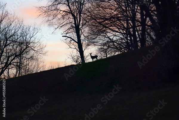 Obraz Chevreuil et crépuscule
