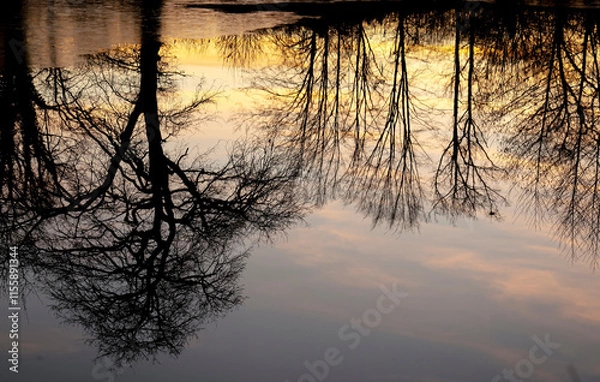 Obraz Reflets de noël