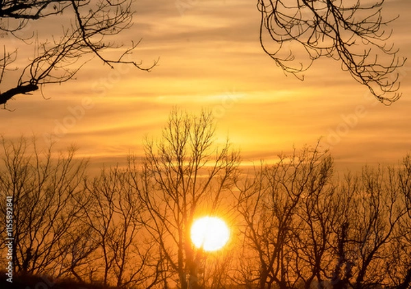 Obraz Couché de soleil