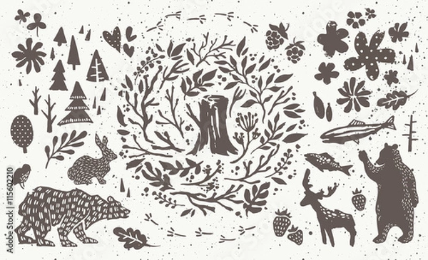 Fototapeta Handsketched elements of northern forest