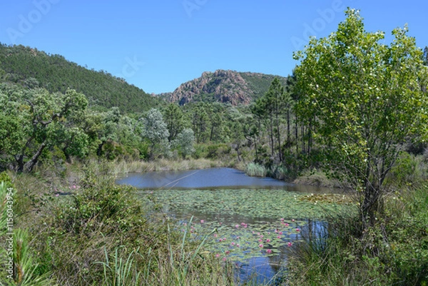 Obraz Massif de l'Estérel