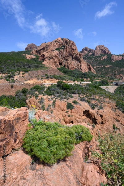 Obraz corniche de l'Estérel