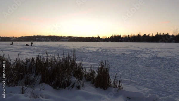 Obraz Hiver au Québec