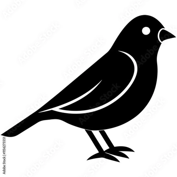 Fototapeta bird on a branch