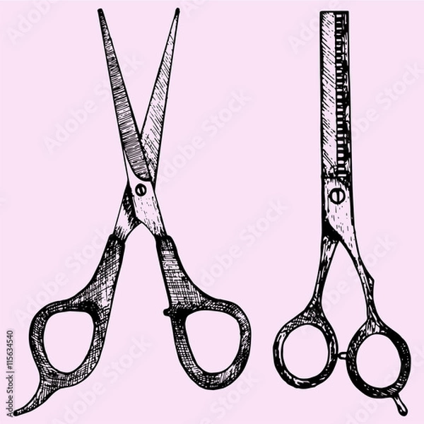 Obraz professional barber scissors doodle style sketch illustration hand drawn vector